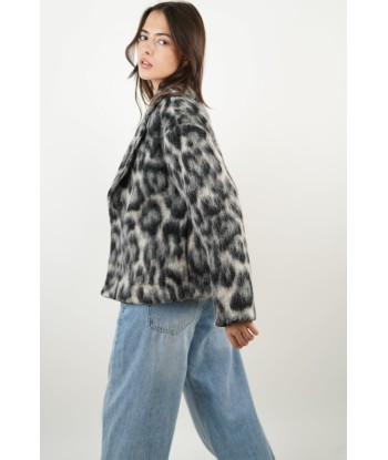 Grey Leopard Coat le des métaux précieux